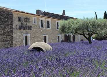 Musée de la Lavande