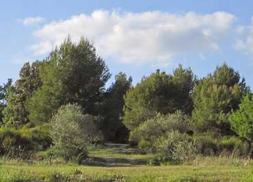 Vue Générale Camping à La Ferme Roumavagi