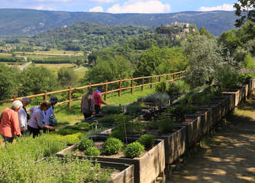 Le Jardin botanique de la Citadelle