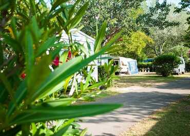 Allée du camping