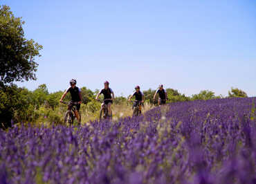 Cycling Center Coquillade