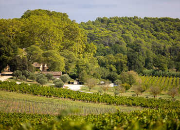 Château Mentone