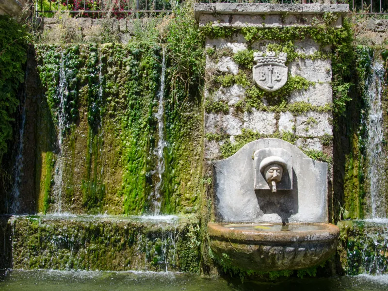 Fontaine du Real, Barjols