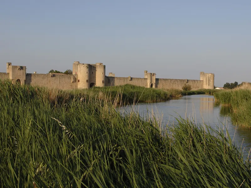 Remparts d'Aigues Mortes et roseaux