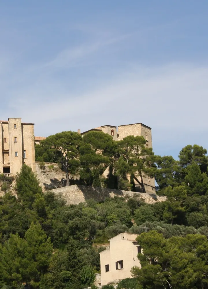Château de Meyrargues