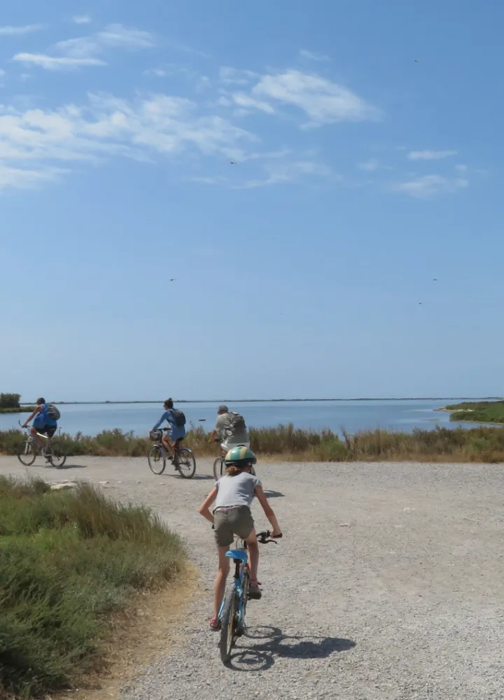 Etang de Thau en famille à vélo