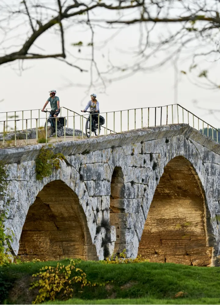 ROSSO Damien pour VPA et pont à arches
