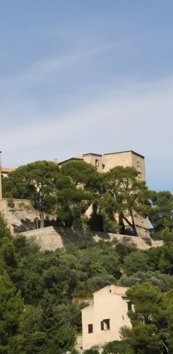 Château de Meyrargues