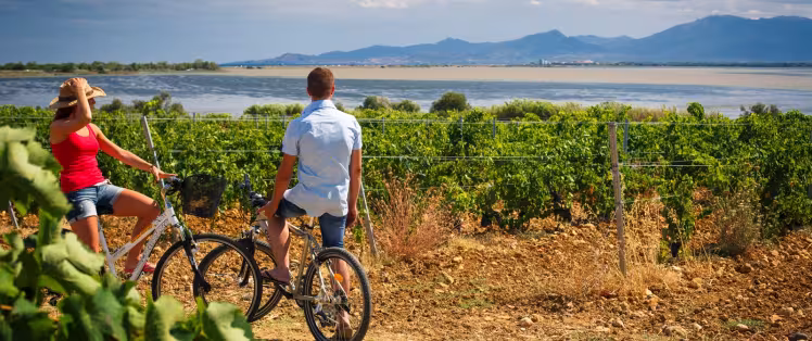 Vignes et vélos
