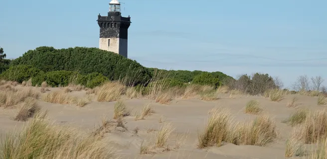 Le Grau-du-Roi / Beaucaire Tarascon