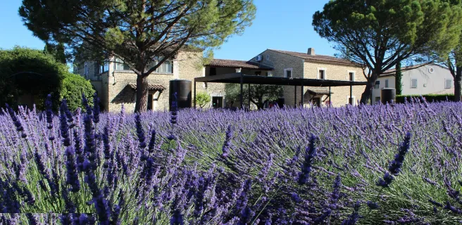 Cavaillon / Apt
