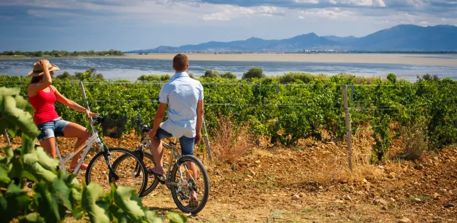 Vignes et vélos