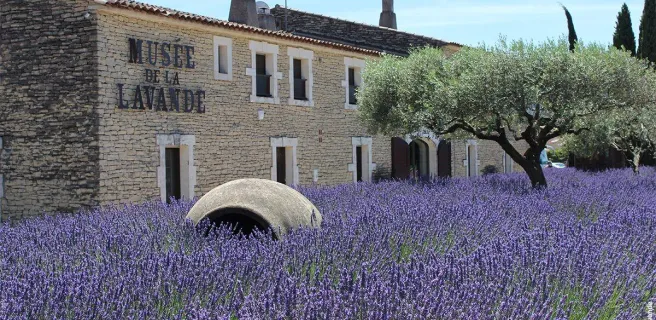 Musée de la Lavande