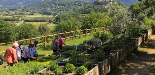 Le Jardin botanique de la Citadelle