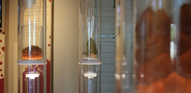 La Maison du Fruit Confit