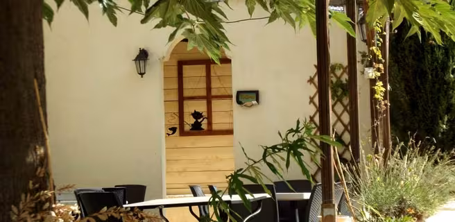 Le Chat qui Pêche