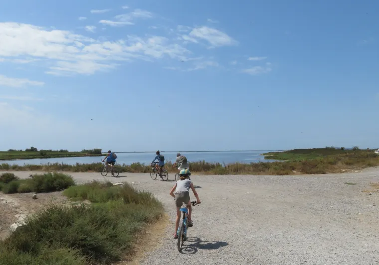 Etang de Thau en famille à vélo