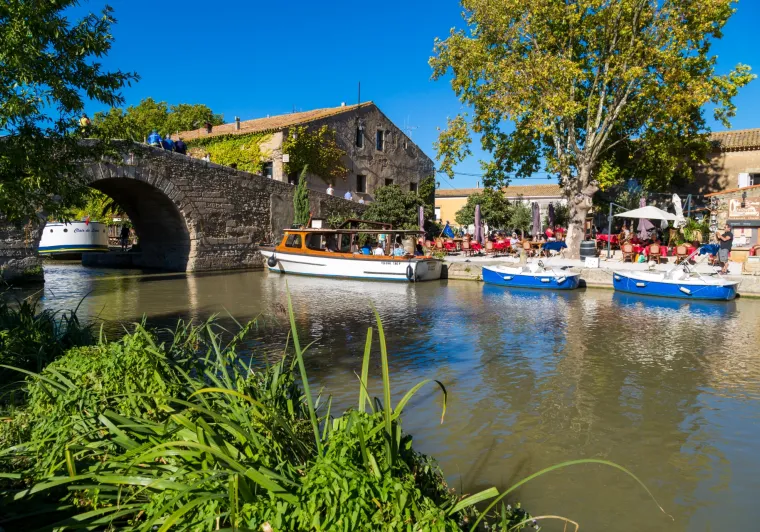 JOUR 3 : IMMERSION AU COEUR DE LA FAUNE ET DE LA FLORE NARBONNAISE – (Saint-Pierre La Mer – île Sainte-Lucie (Port-La-Nouvelle) - Narbonne – 36 km)