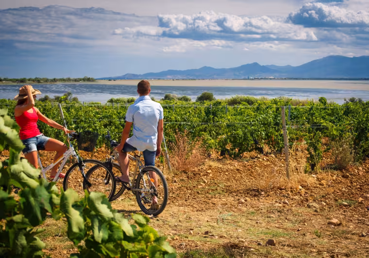 Canet en Roussillon, les vignes à vélo
