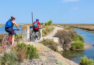 Sentier sur la lagune