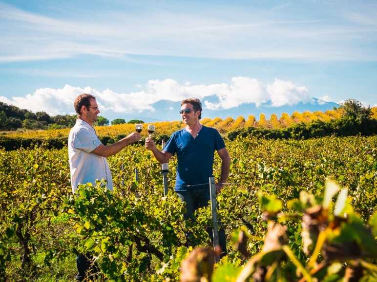 Oenotourisme dans les vignes