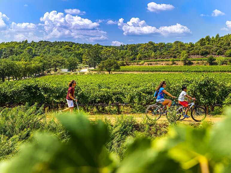 La Vigne à vélo en Dracénie