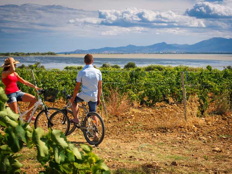 Canet en Roussillon, les vignes à vélo